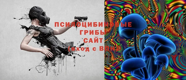 MDMA Белокуриха