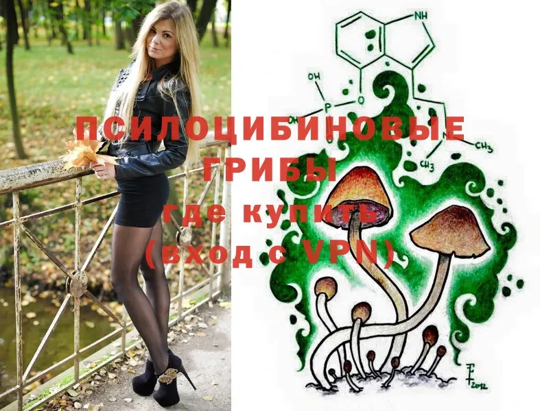 Галлюциногенные грибы Psilocybe  blacksprut ссылка  Верхняя Тура 