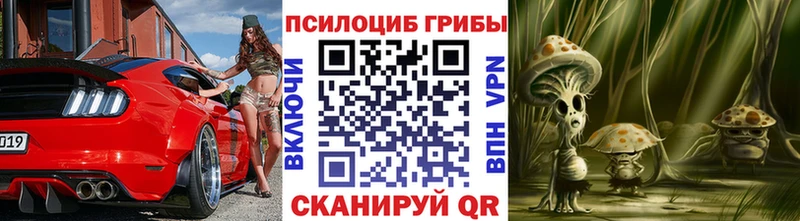 нарко площадка формула  Верхняя Тура  Псилоцибиновые грибы Magic Shrooms 